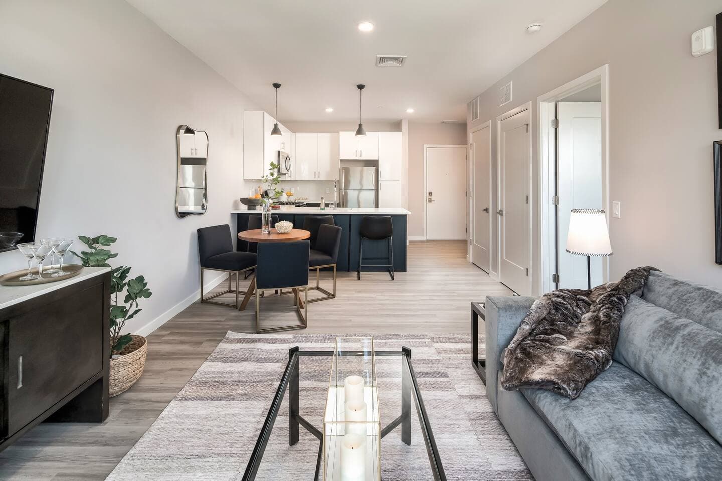 New Haven Pierpont 1BR / 1BA photo 5