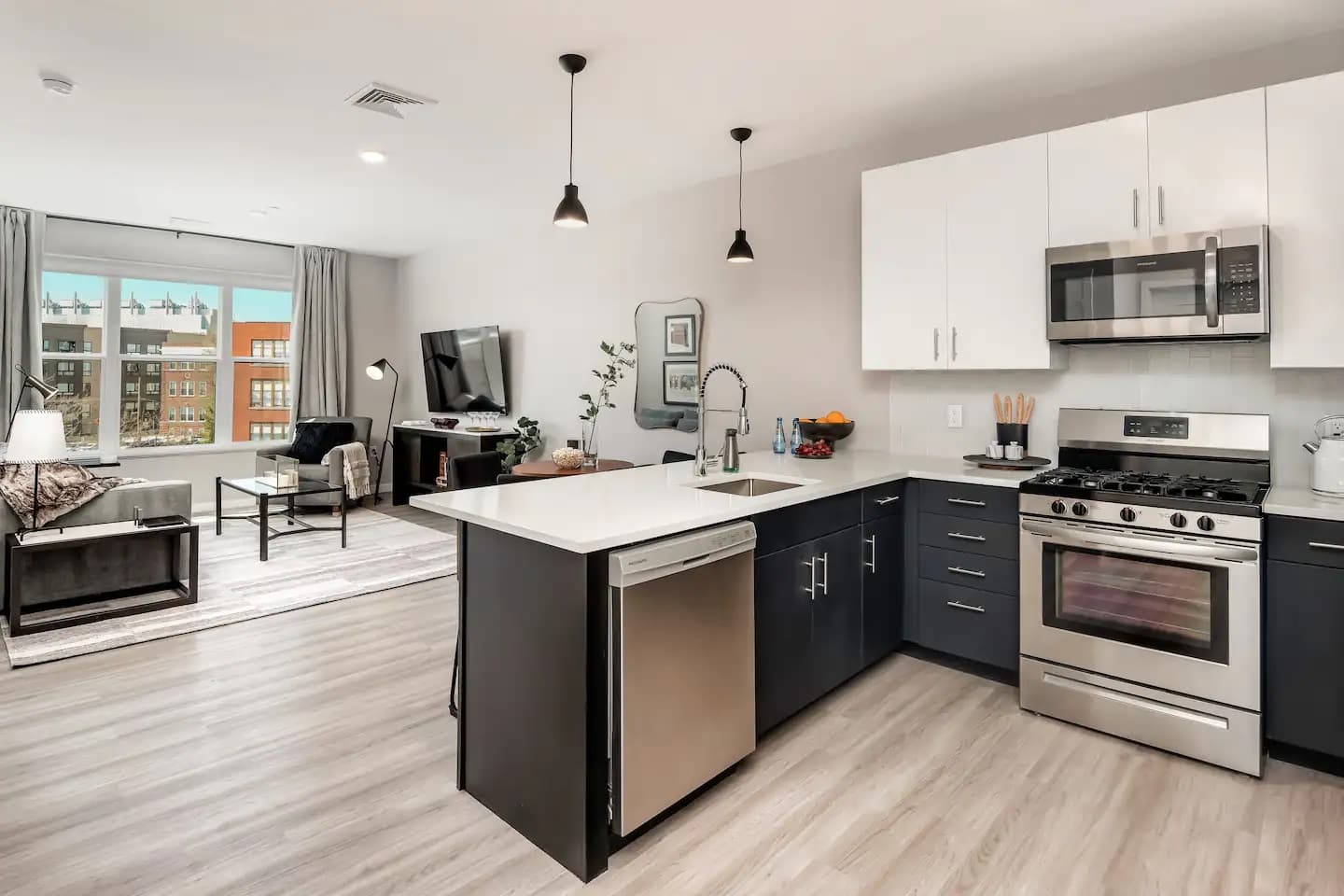 New Haven Pierpont 1BR / 1BA photo 4