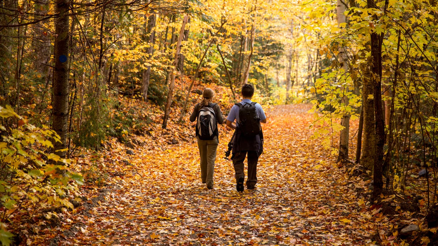 Discover the Breathtaking Hiking Trails of Bethlehem from Hyatus