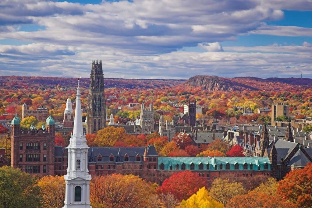 Our Favorite Spots to Unwind in Downtown New Haven from Hyatus
