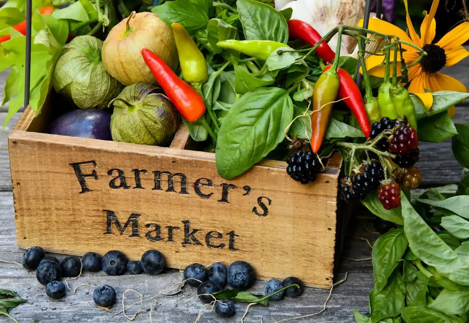 A Shopper’s Paradise with a Side of Fun: Bethlehem Farmers’ Market from Hyatus