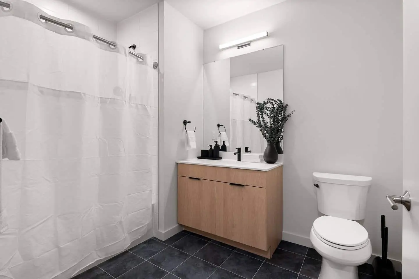 Pet Friendly Apartments in Stamford: Your Perfect Home from Hyatus