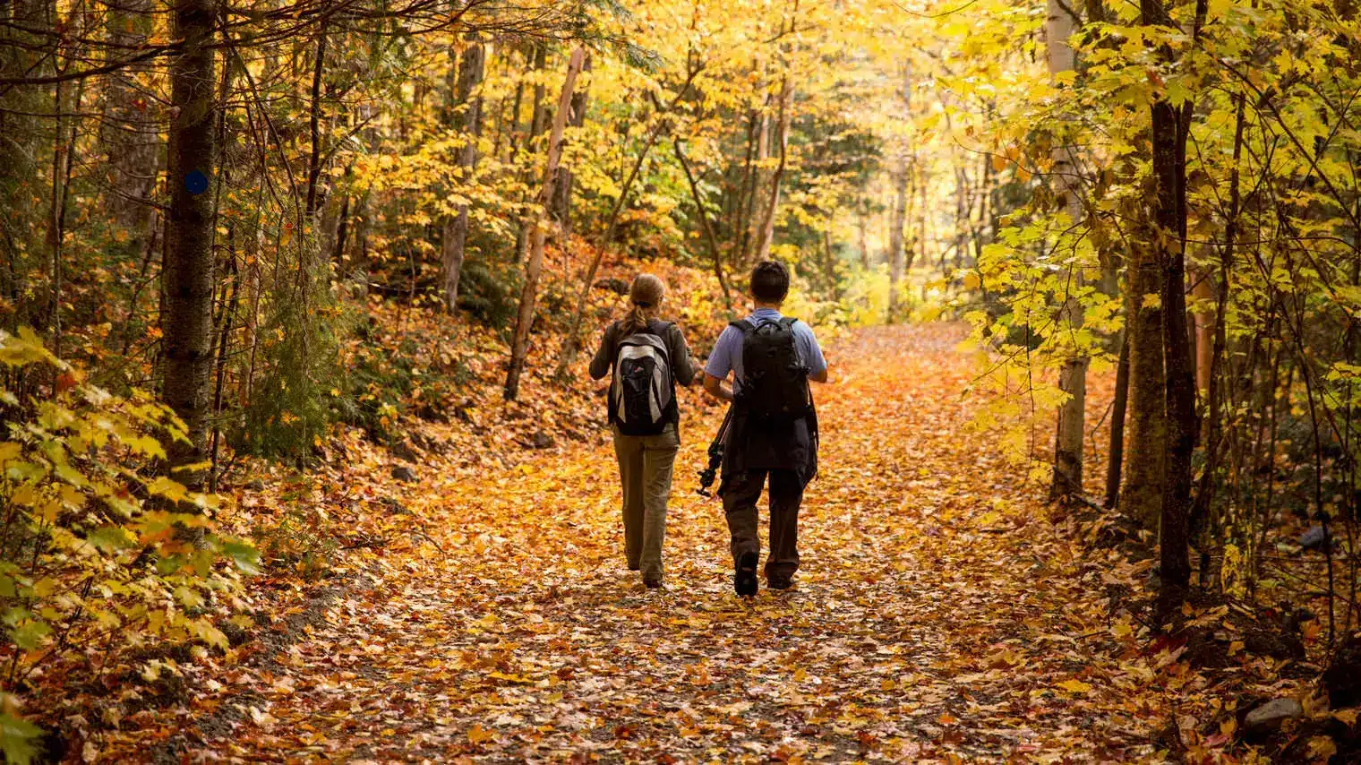 Discover the Breathtaking Hiking Trails of Bethlehem from Hyatus