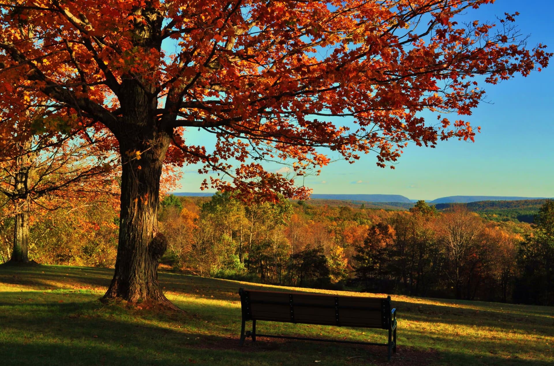 Vacation homes near Cresco and the Pocono Mountains by Hyatus